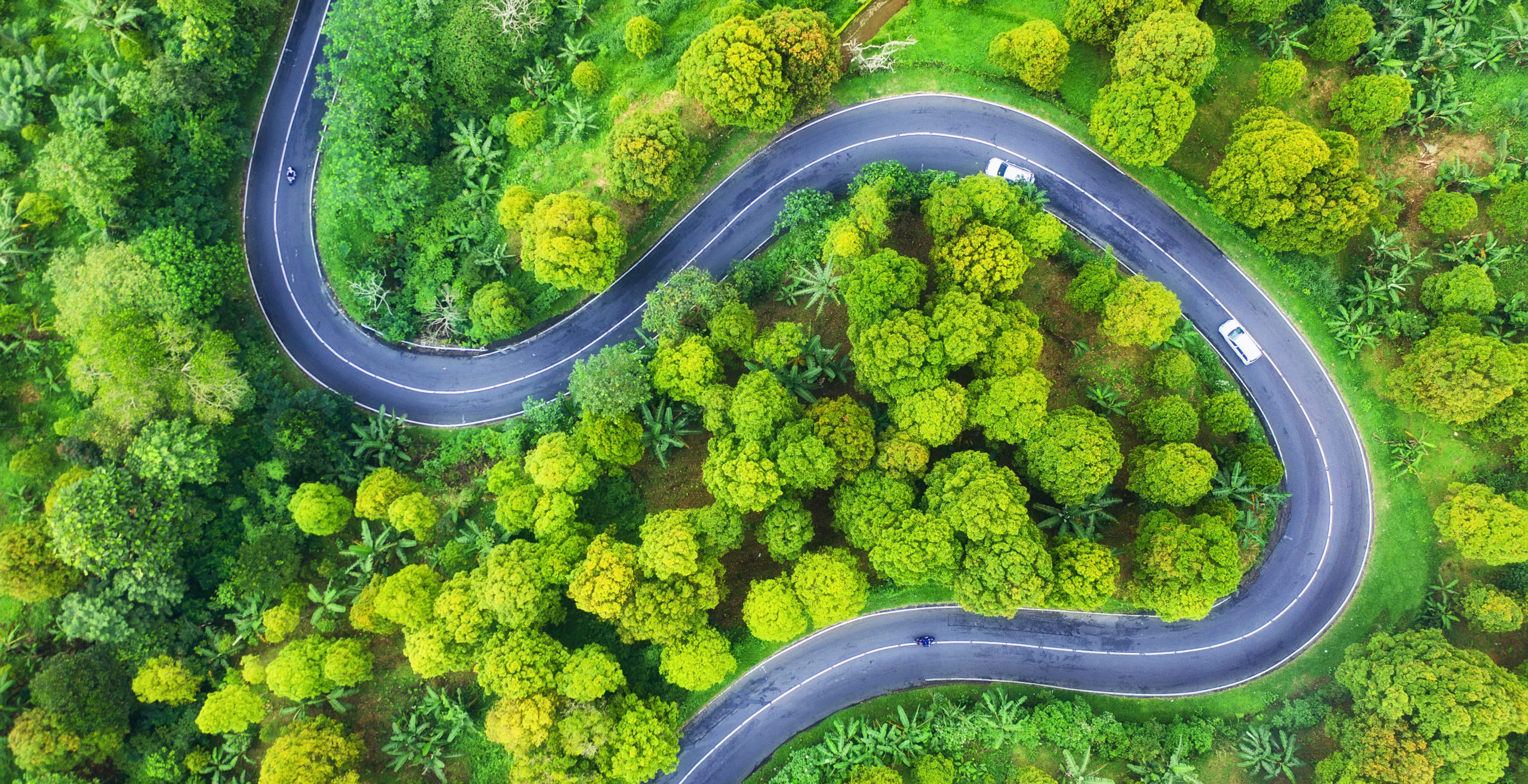 Birds eye view of a road running through a green forest, with just a few cars on road